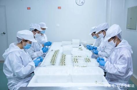 智能制造賦能海洋養(yǎng)生 同仁堂健康大連生產(chǎn)基地的高品質(zhì)之道